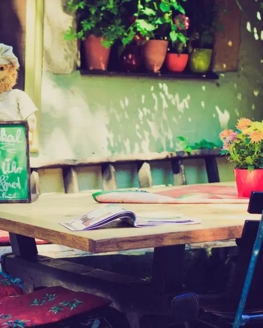 Terrasse de café chaleureuse avec plantes et tables en bois